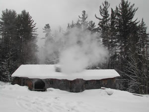 Maple syrup from Pinestead Farm Lodge, Franconia, NH