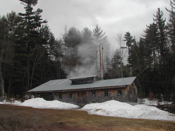 Maple syrup from Pinestead Farm Lodge, Franconia, NH